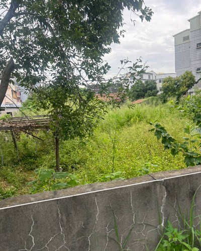 彰化割草, 彰化除草, 彰化廢棄樹木枯木清運