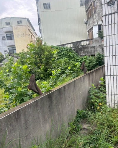 彰化割草, 彰化除草, 彰化廢棄樹木枯木清運