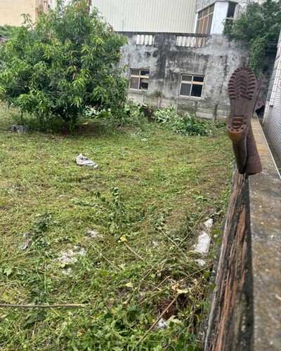 大城割草, 大城除草, 大城廢棄樹木枯木清運