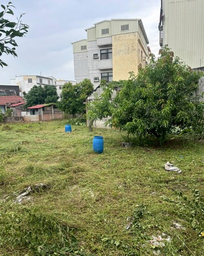 彰化割草, 彰化除草, 彰化廢棄樹木枯木清運