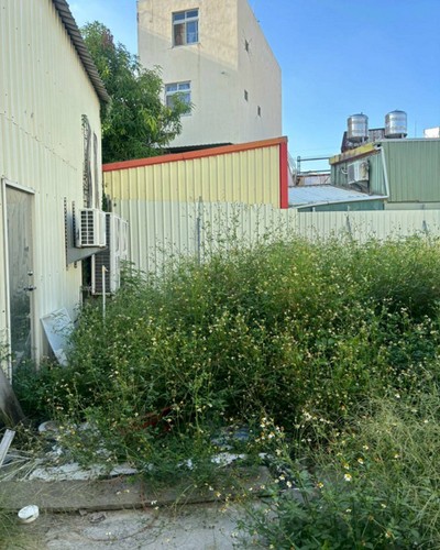 彰化除草噴藥, 彰化鋸樹, 彰化除草噴藥, 彰化鋸樹, 彰化割草, 彰化除草, 彰化廢棄樹木枯木清運