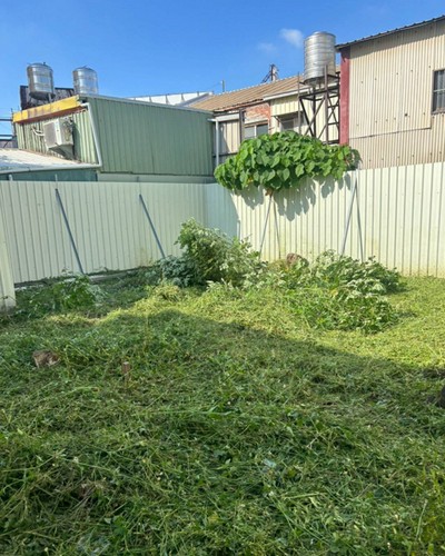 彰化除草噴藥, 彰化鋸樹, 彰化除草噴藥, 彰化鋸樹, 彰化割草, 彰化除草, 彰化廢棄樹木枯木清運