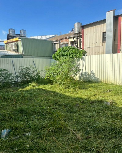 彰化除草噴藥, 彰化鋸樹, 彰化除草噴藥, 彰化鋸樹, 彰化割草, 彰化除草, 彰化廢棄樹木枯木清運