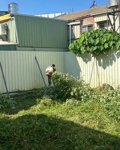 彰化除草噴藥, 彰化鋸樹, 彰化大城割草, 彰化大城除草, 彰化大城廢棄樹木枯木清運