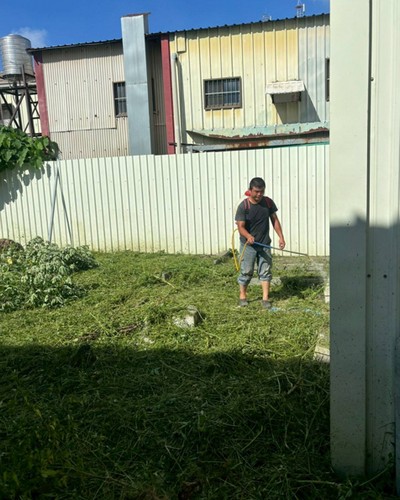 彰化除草噴藥, 彰化鋸樹, 大城割草, 大城除草, 大城廢棄樹木枯木清運