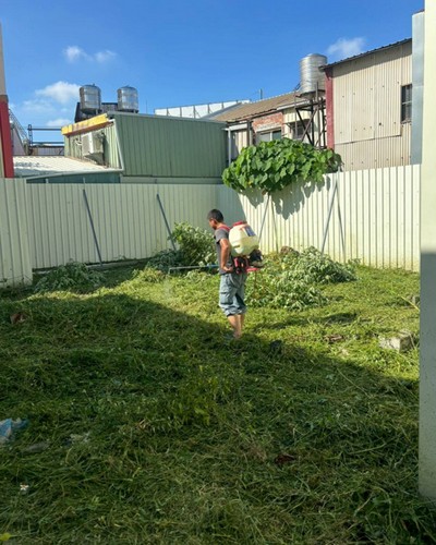 彰化除草噴藥, 彰化鋸樹, 彰化割草, 彰化除草, 彰化廢棄樹木枯木清運