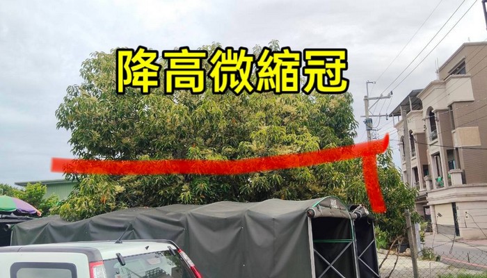 彰化埔心除草, 彰化埔心割草, 彰化埔心樹木修剪