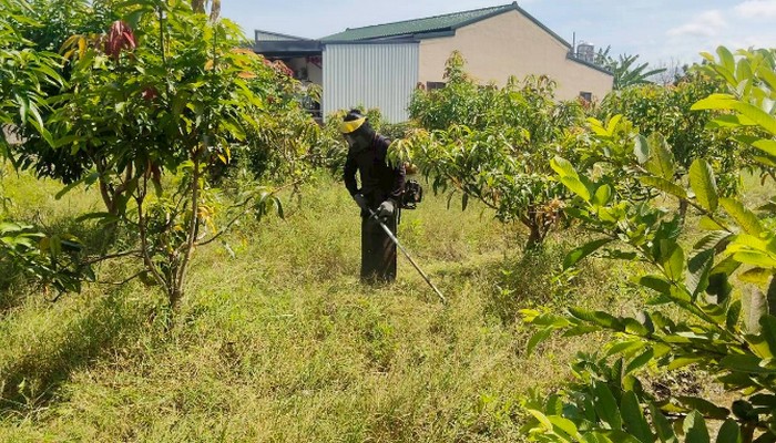 彰化社頭除草, 彰化社頭割草, 彰化社頭樹木修剪