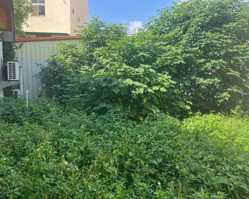 彰化溪湖除草, 彰化溪湖割草, 彰化溪湖樹木修剪