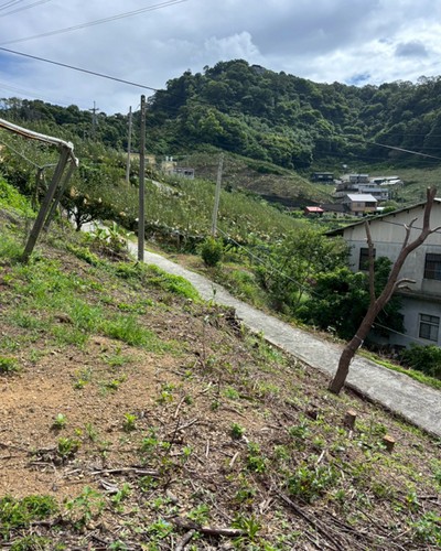 后里鋪設雜草抑制席, 台中后里區除草, 台中后里區割草, 台中后里區樹木修剪