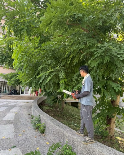 南投除草, 南投割草, 南投樹木修剪