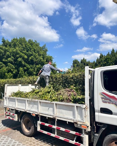 南投鋸樹, 南投除草
