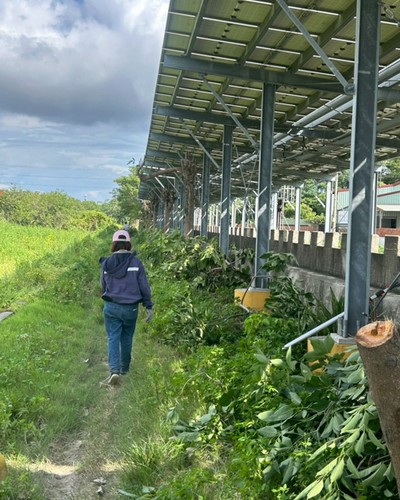 台中大肚區除草, 台中大肚區割草, 台中大肚區樹木修剪