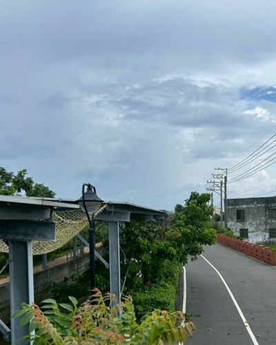 台中大肚區鋸樹, 台中大肚區除草