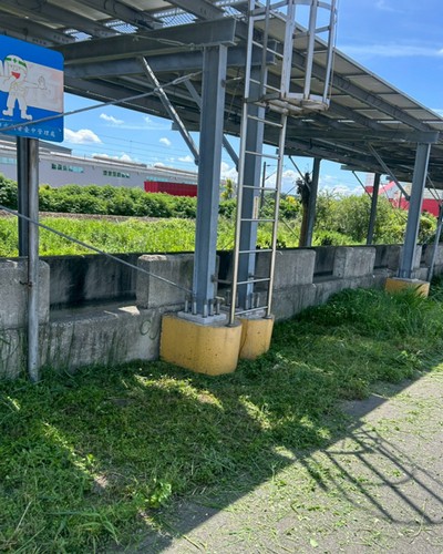 台中大肚區鋸樹, 台中大肚區除草