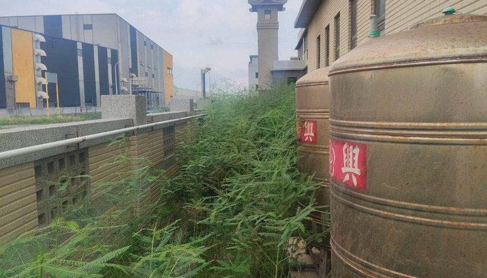 彰化伸港除草, 彰化伸港割草, 彰化伸港樹木修剪