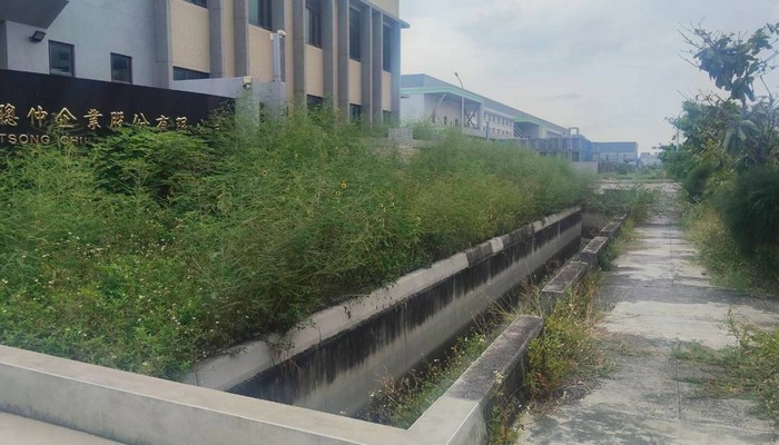 彰化伸港除草, 彰化伸港割草, 彰化伸港樹木修剪