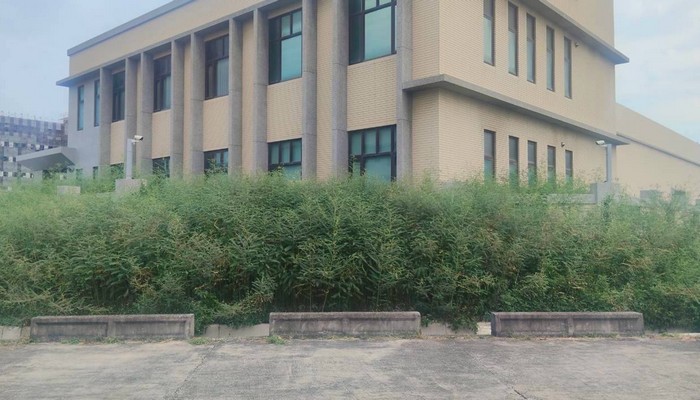 彰化伸港除草, 彰化伸港割草, 彰化伸港樹木修剪