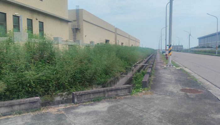 彰化伸港除草, 彰化伸港割草, 彰化伸港樹木修剪