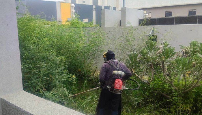 彰化伸港除草, 彰化伸港割草, 彰化伸港樹木修剪