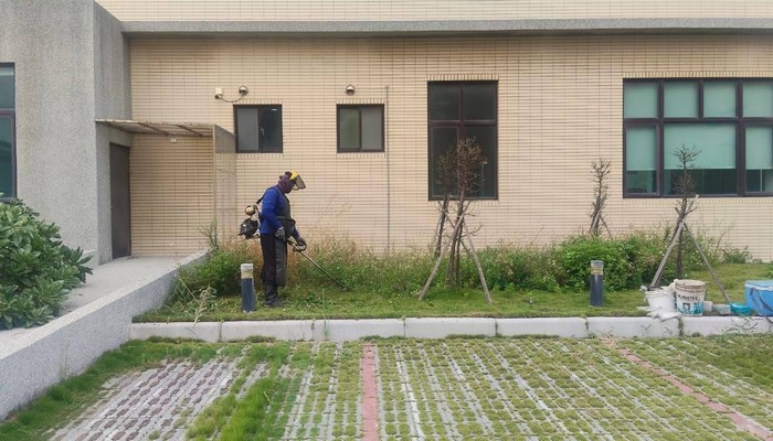 彰化伸港鋸樹, 彰化伸港除草