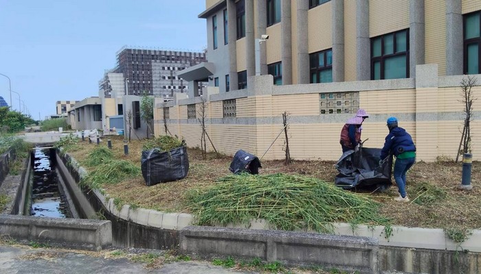 彰化伸港鋸樹, 彰化伸港除草