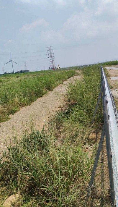 彰化大城除草, 彰化大城割草, 彰化大城樹木修剪