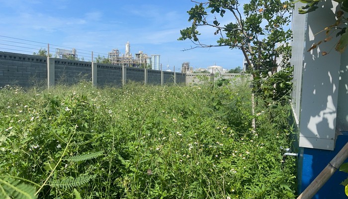 彰濱工業區空地除草, 彰化鹿港代客除草廠商推薦, 彰化鹿港除草, 彰化鹿港割草, 彰化鹿港樹木修剪