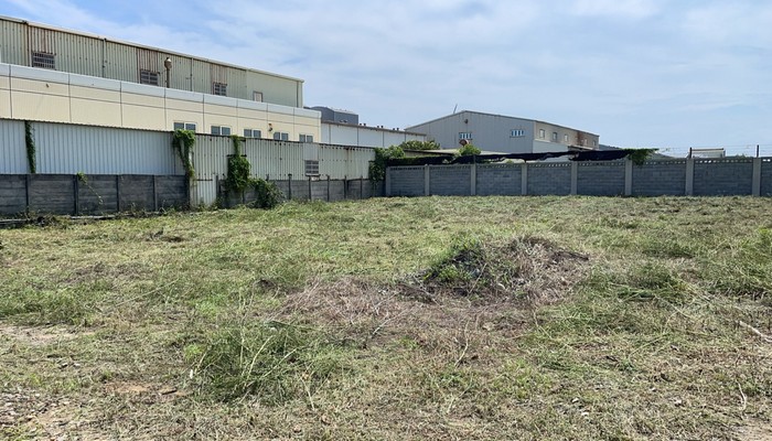 彰濱工業區空地除草, 彰化鹿港代客除草廠商推薦, 彰化鹿港鋸樹, 彰化鹿港除草