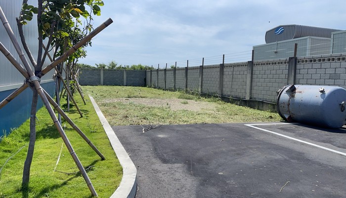 彰濱工業區空地除草, 彰化鹿港代客除草廠商推薦, 彰化鹿港鋸樹, 彰化鹿港除草