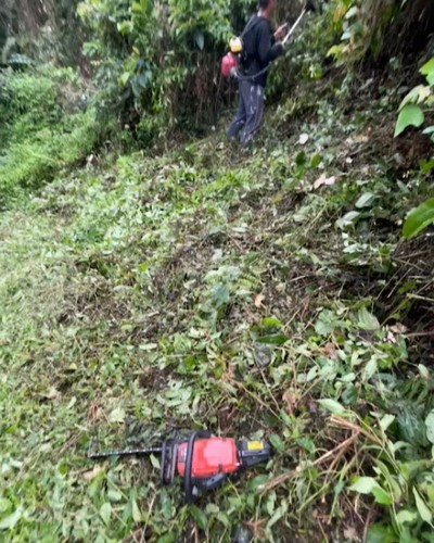 南投名間鄉割草, 中彰投鋸樹, 中彰投除草