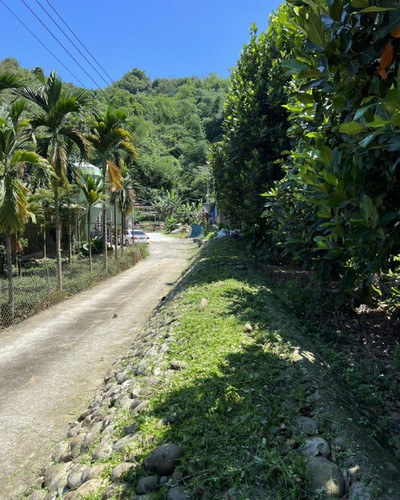 南投雜草清除, 南投空地割草, 南投草叢割草, 南投整地, 南投重劃區割草