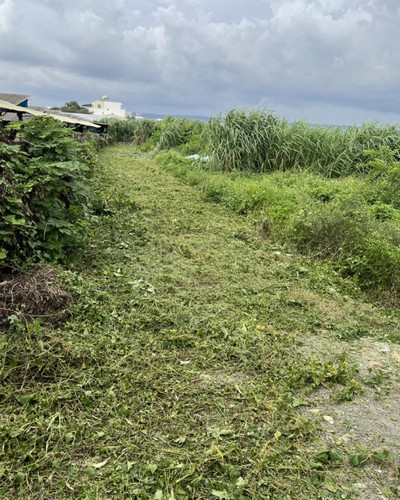 永靖雜草清除, 永靖空地割草, 永靖草叢割草, 永靖整地, 永靖重劃區割草