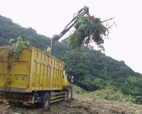 高雄鋸樹, 高雄夾子車清運, 高雄除草, 高雄割草, 高雄樹木修剪