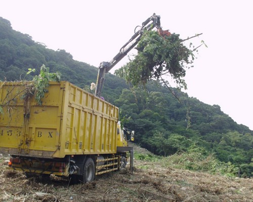 高雄鋸樹, 高雄夾子車清運, 高雄除草, 高雄割草, 高雄樹木修剪